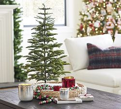 Lit Faux Pine Trees | Pottery Barn (US)