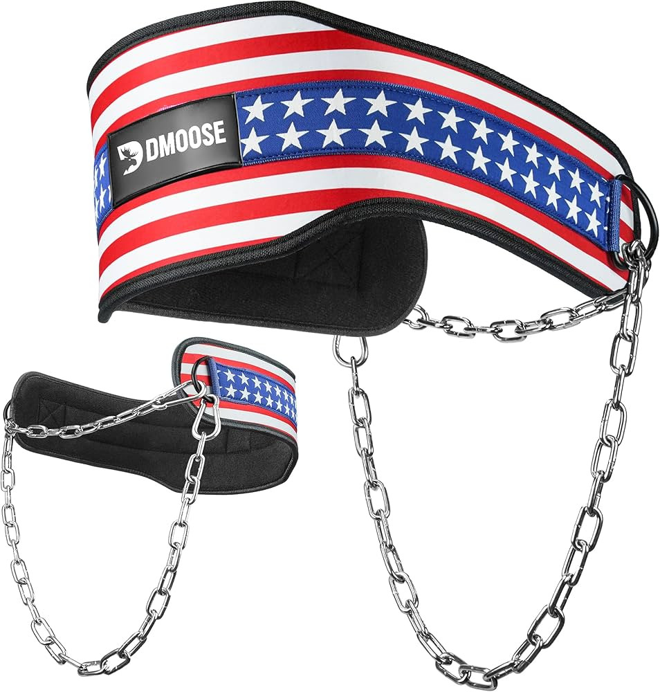 DMoose Dip Belt for Weightlifting, Weight Belt with Chain for Pullup, Gym Lifting Belt for Powerl... | Amazon (US)