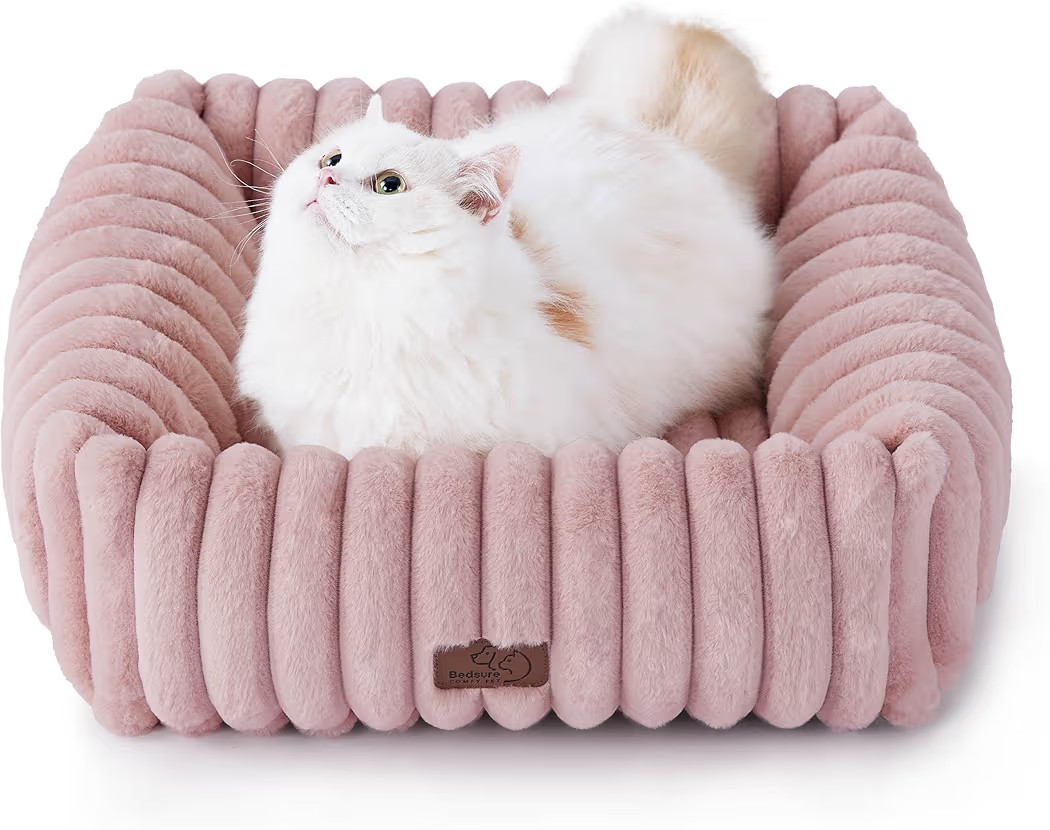 Bedsure Cute Dog Bed for Small Dogs & Cats - Washable Furry Puppy Beds, Rectangle Orthopedic Cord... | Amazon (US)