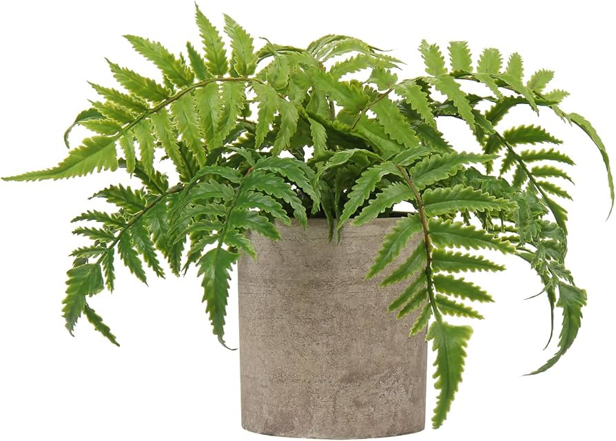 Briful Small Fake Plant Potted Plants Artificial Decor Plastic Ferns Plant Faux Plants in Pots fo... | Amazon (US)