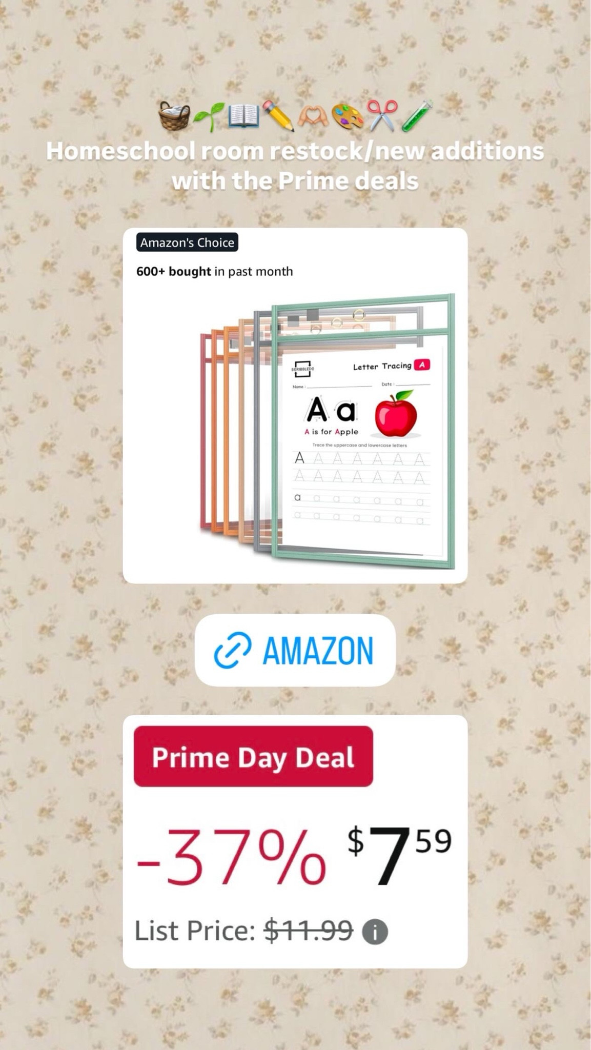 Homeschool Amazon Prime deals were loving 🤍

#LTKKids #LTKSaleAlert