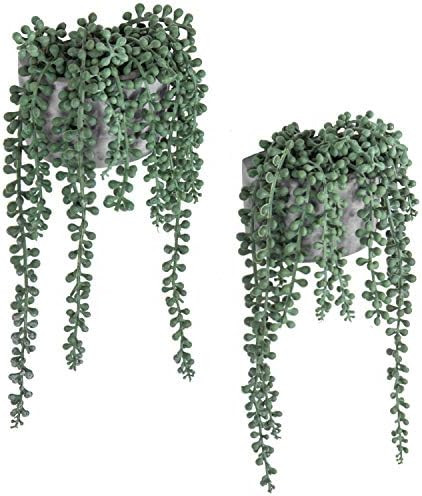 MyGift Faux String of Pearls Plant Artificial Succulent in Gray Cement Wall Hanging Planter, Set ... | Amazon (US)