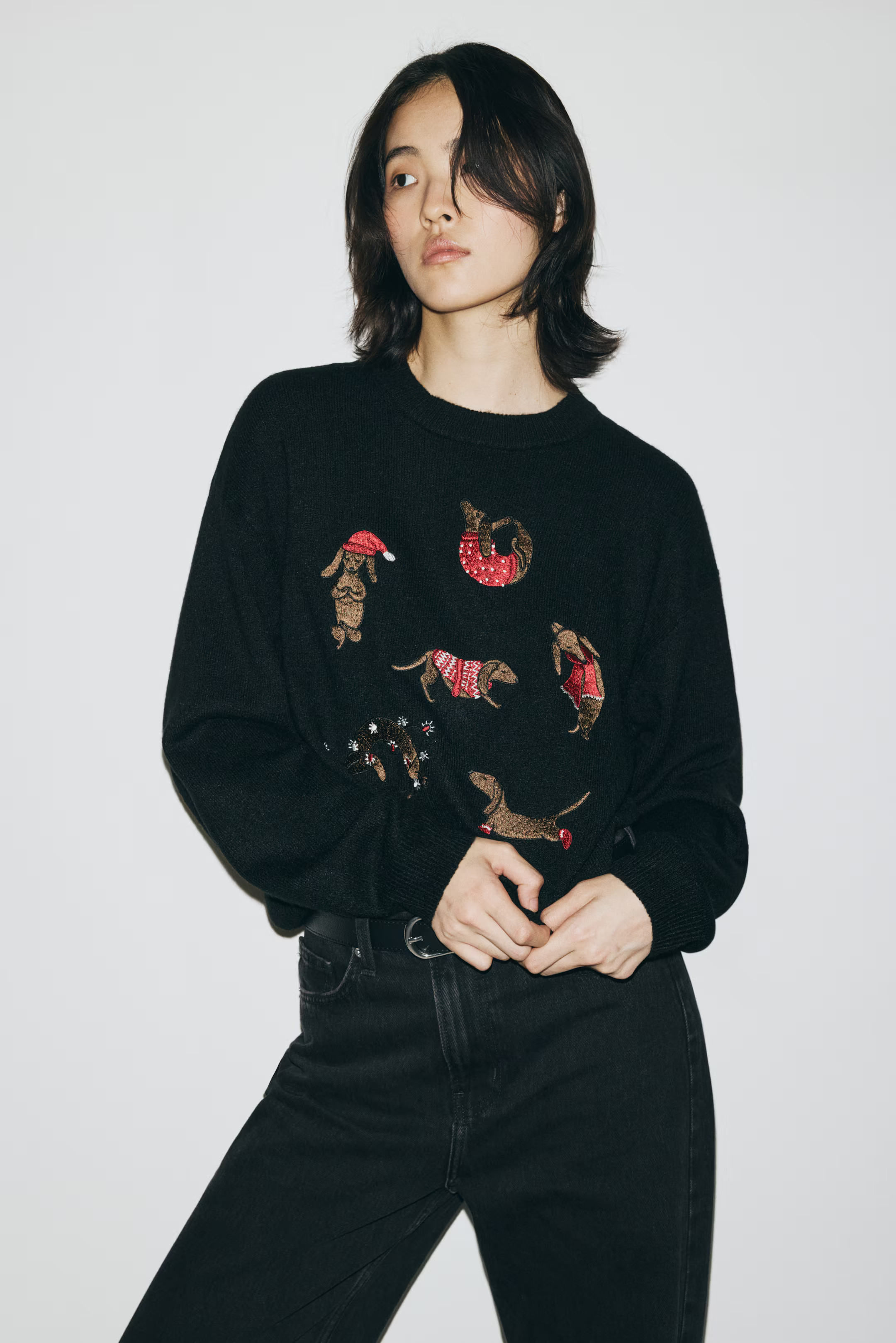 Embroidered Sweater | H&M (US + CA)
