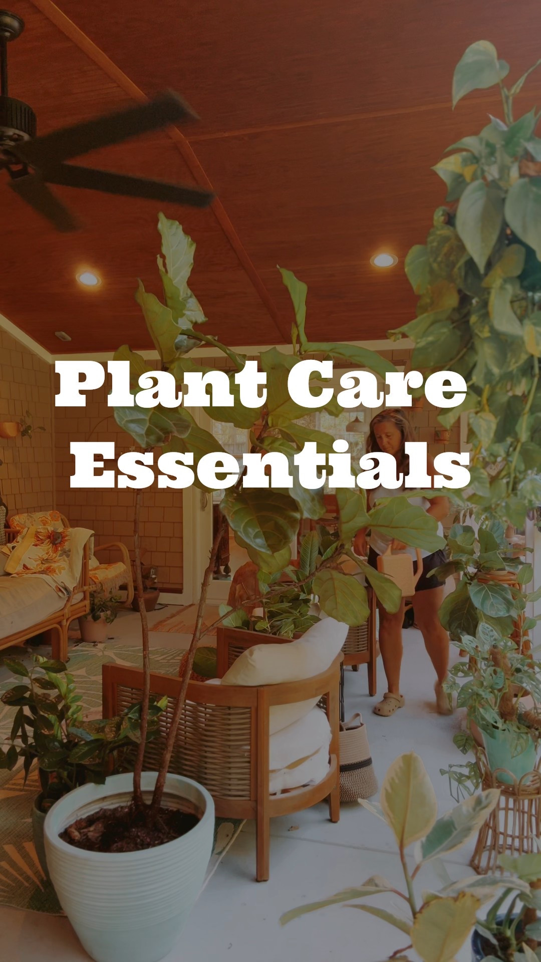 My plant care must-haves! Healthy soil, quality plant food, and more!

#plants #plantcare #plantfood #ltkhome #garden 