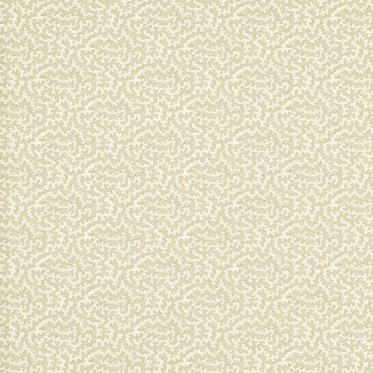 Sanderson Truffle Sand Dollar Fabric | DecoratorsBest