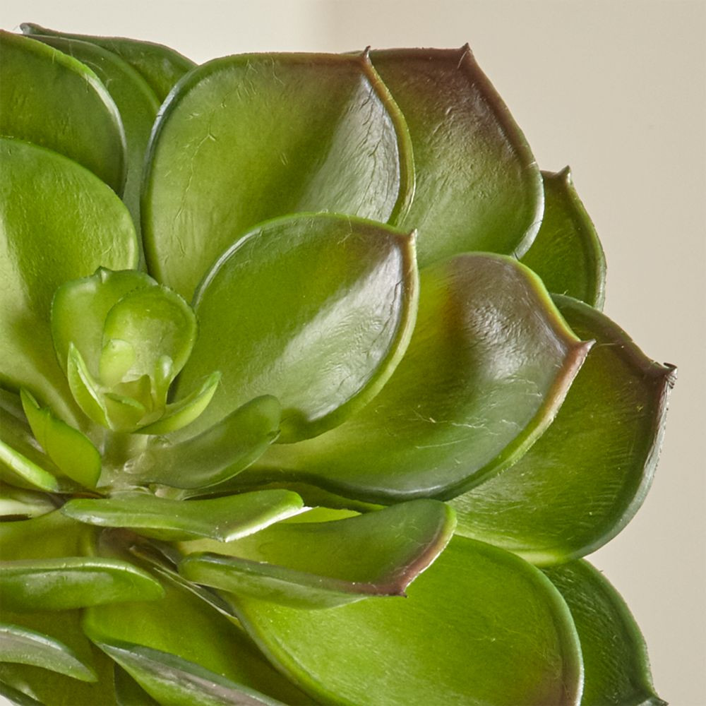 Artificial Echeveria Green Succulent Stem | Crate & Barrel