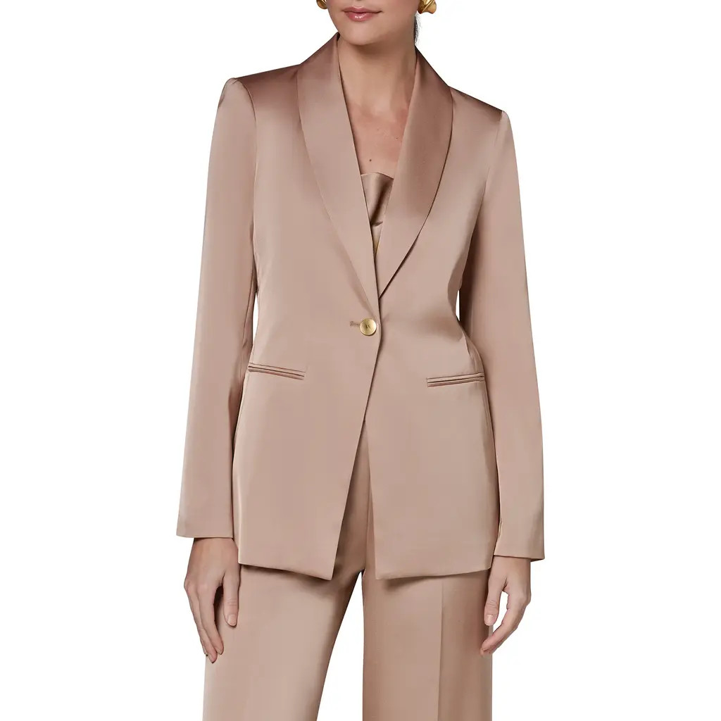 Donna Karan New York Shawl Collar Jacket in Umbria at Nordstrom, Size 10 | Nordstrom