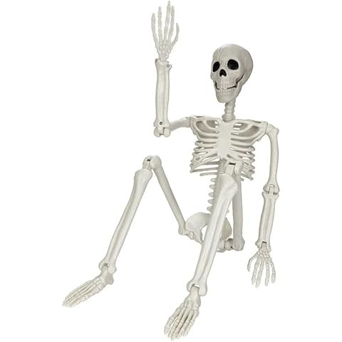 Lodou 5.4Ft Posable Life Size Human Adult Skeletons Plastic Human Bones with Movable Joints for H... | Amazon (US)
