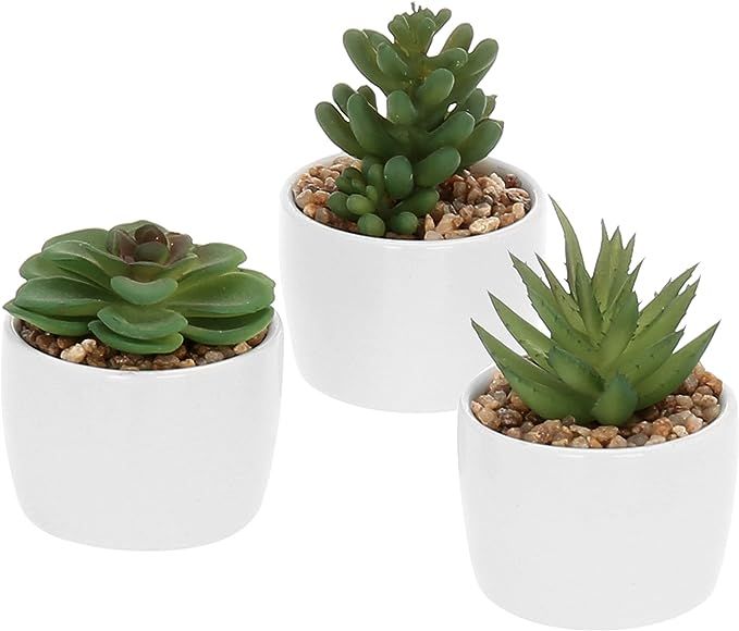 MyGift Artificial Succulent Plants in Modern Round Pots, Set of 3 | Amazon (US)