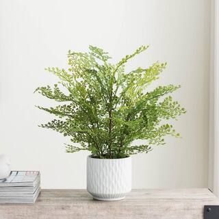 21 in. White Artificial Maidenhair Fern in Textured Ceramic Pot 10092 | The Home Depot