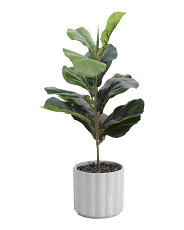 Fiddle Leaf Fig In Column Pot | TJ Maxx