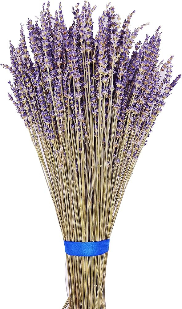 Naturally Dried Lavender Flower Branch Bundles Elegant Bouquet for Home Fragrance Aromatherapy De... | Amazon (CA)