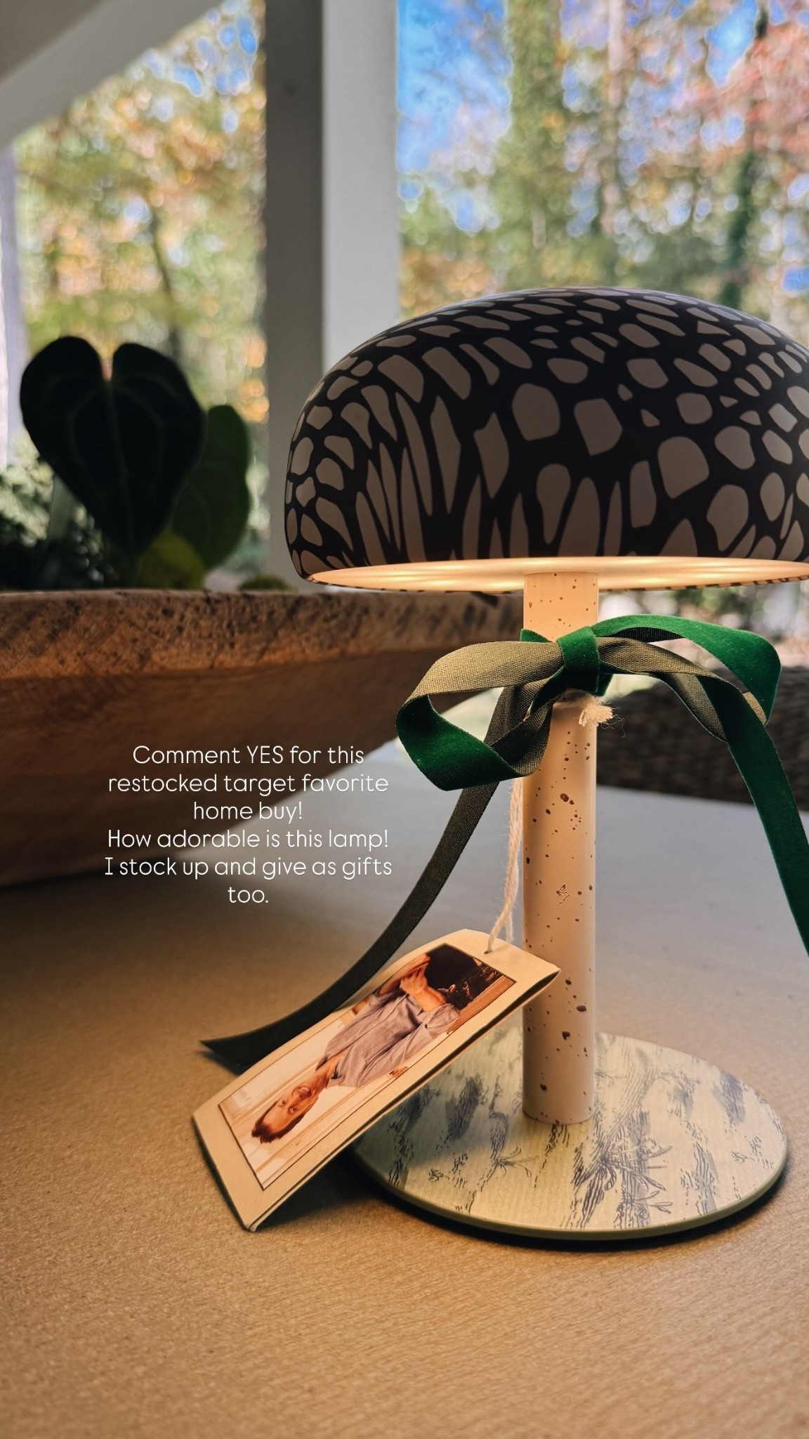 The BEST portable light! 
How adorable is this lamp! 
I stock up and give as gifts too.
