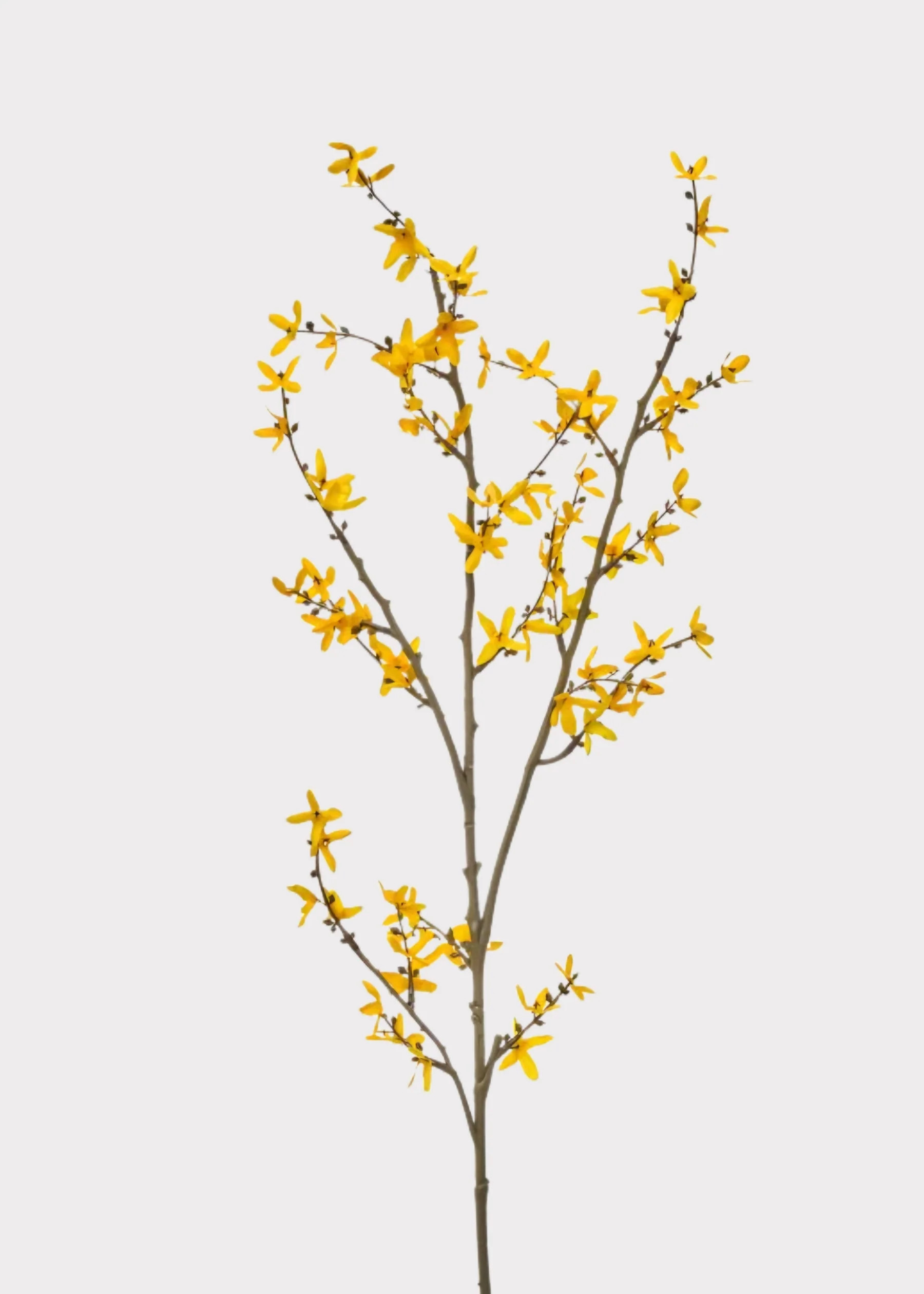 Artificial Forsythia Flower Branch in Golden Yellow - 45" | Afloral