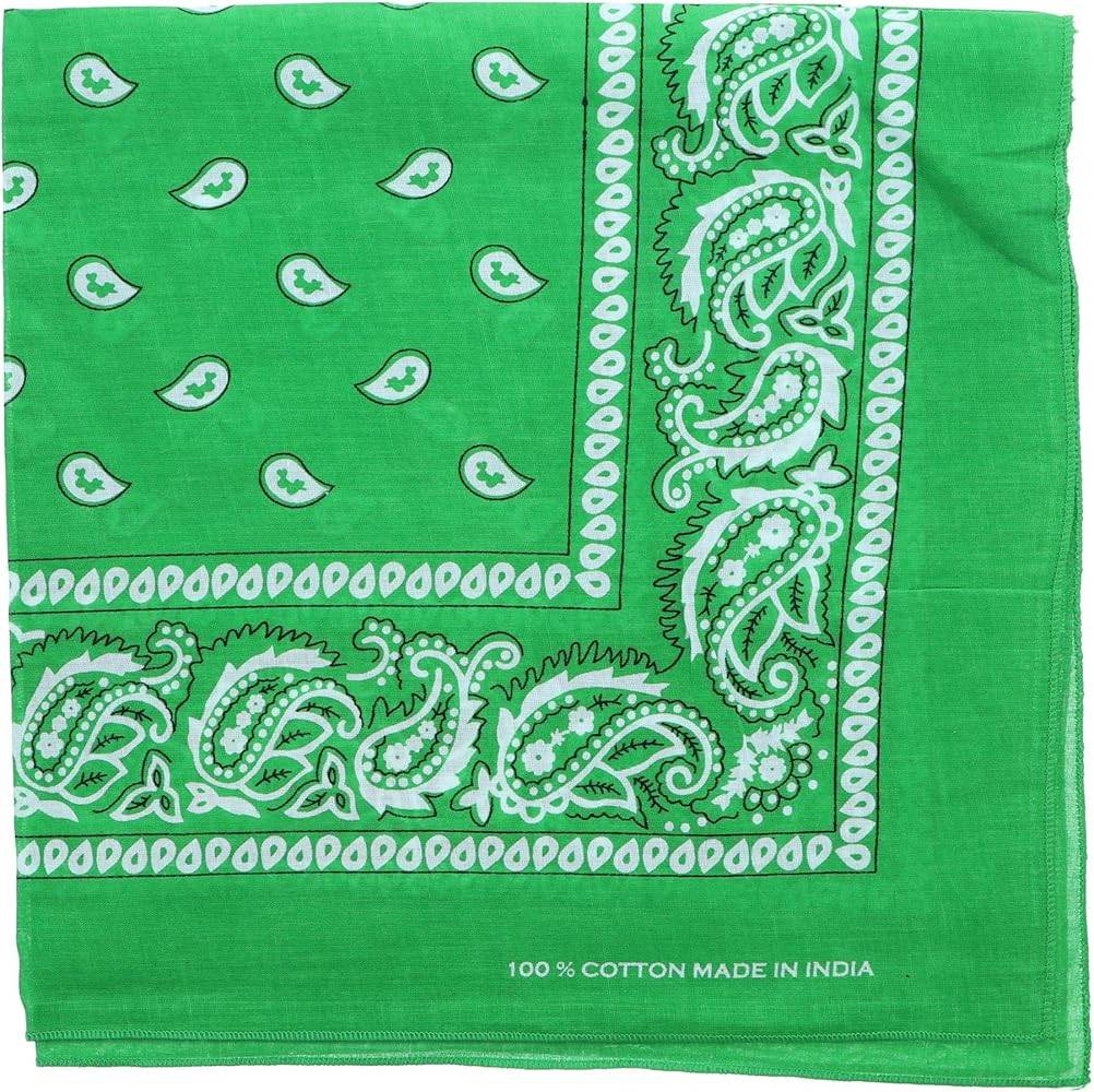 Motique Accessories Extra Large Paisley Bandana 27x27 Inch | Amazon (US)