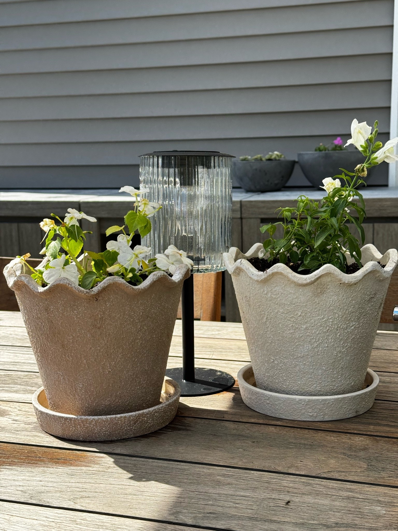 The perfect outside scallop pots

#LTKHome #LTKSeasonal #LTKdayinmylife