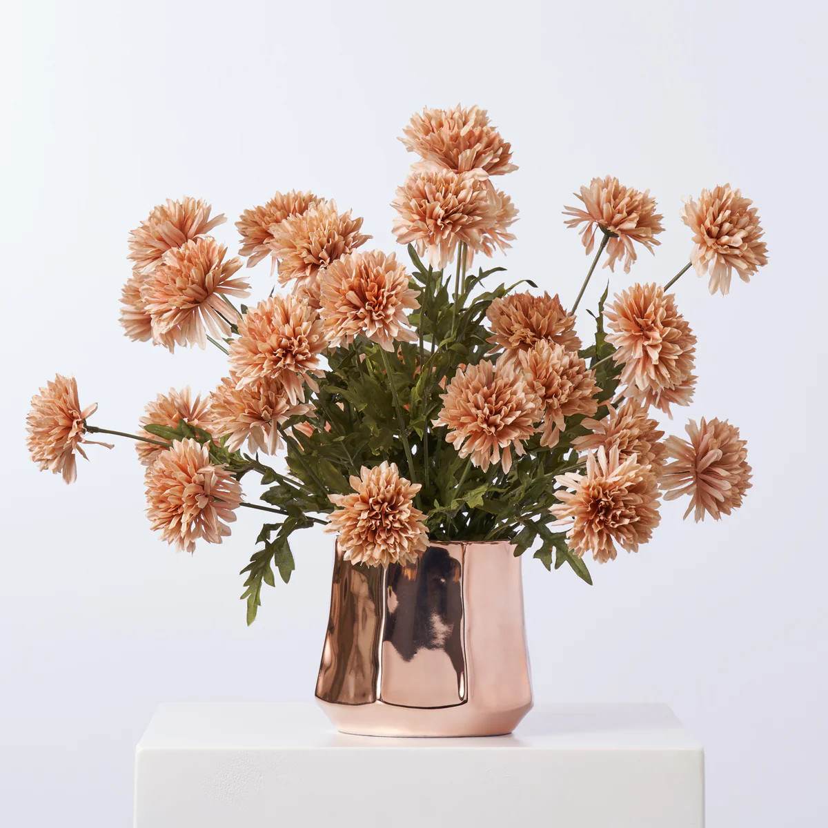 Cafe Au Lait Pom Pom Chrysanthemum In Rose Gold Moet Pot Everyday Fall Arrangement | Darby Creek Trading