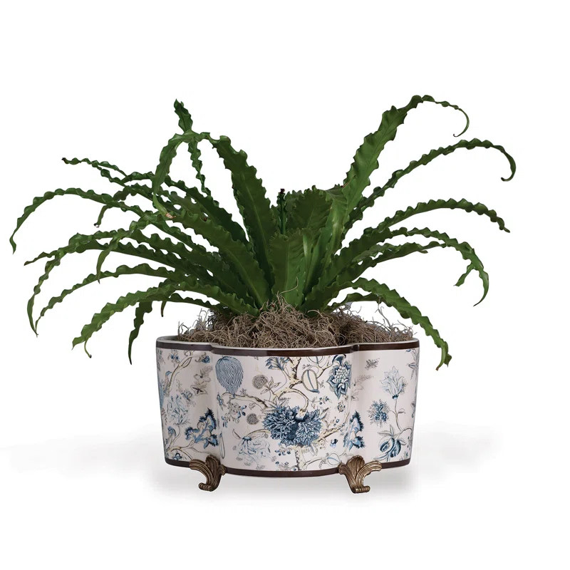 Pondicherry Indoor Pot Planter | Wayfair North America
