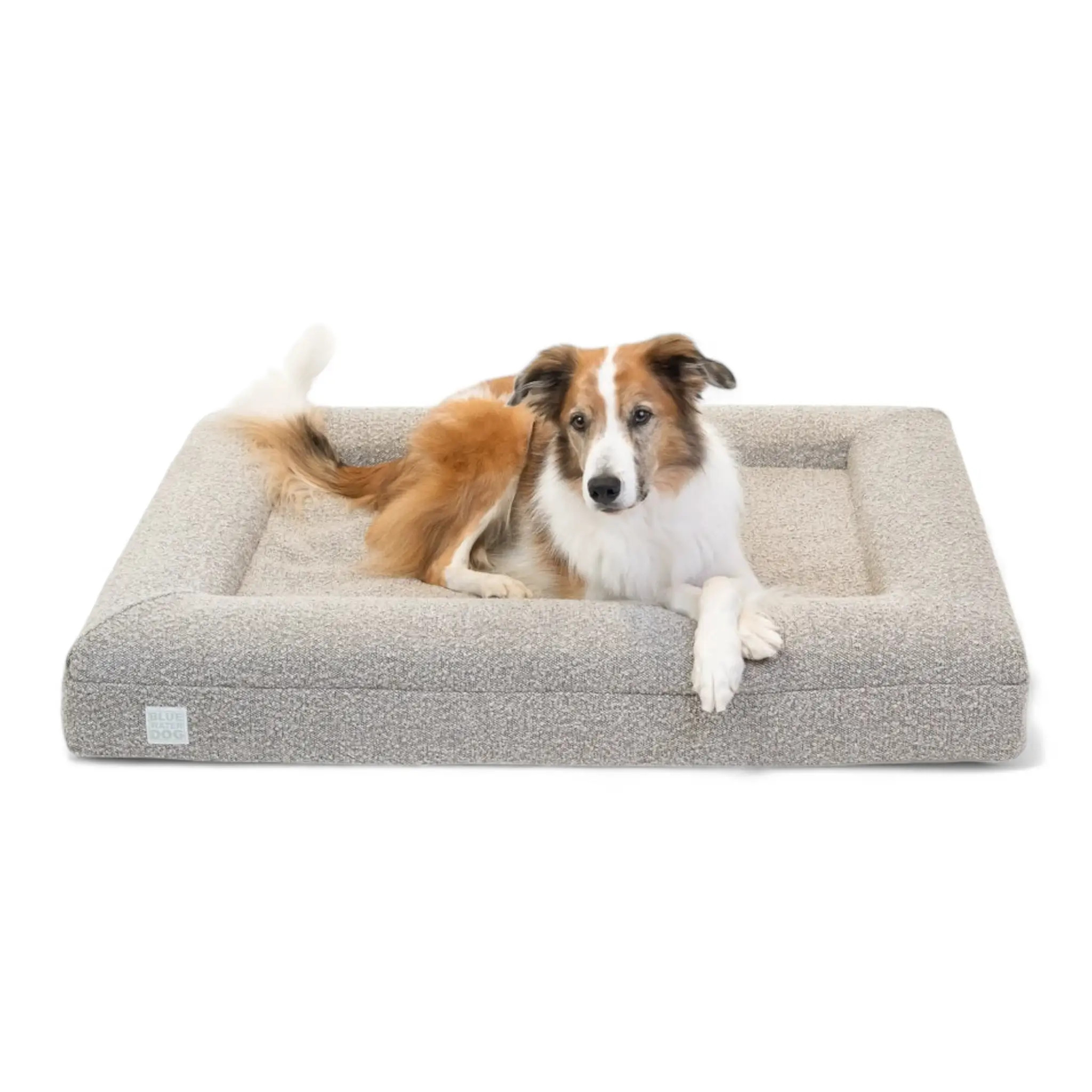 Large Luxury Bouclé Orthopedic Bluewater Dog Bed (Sand) | Bluewater Dog