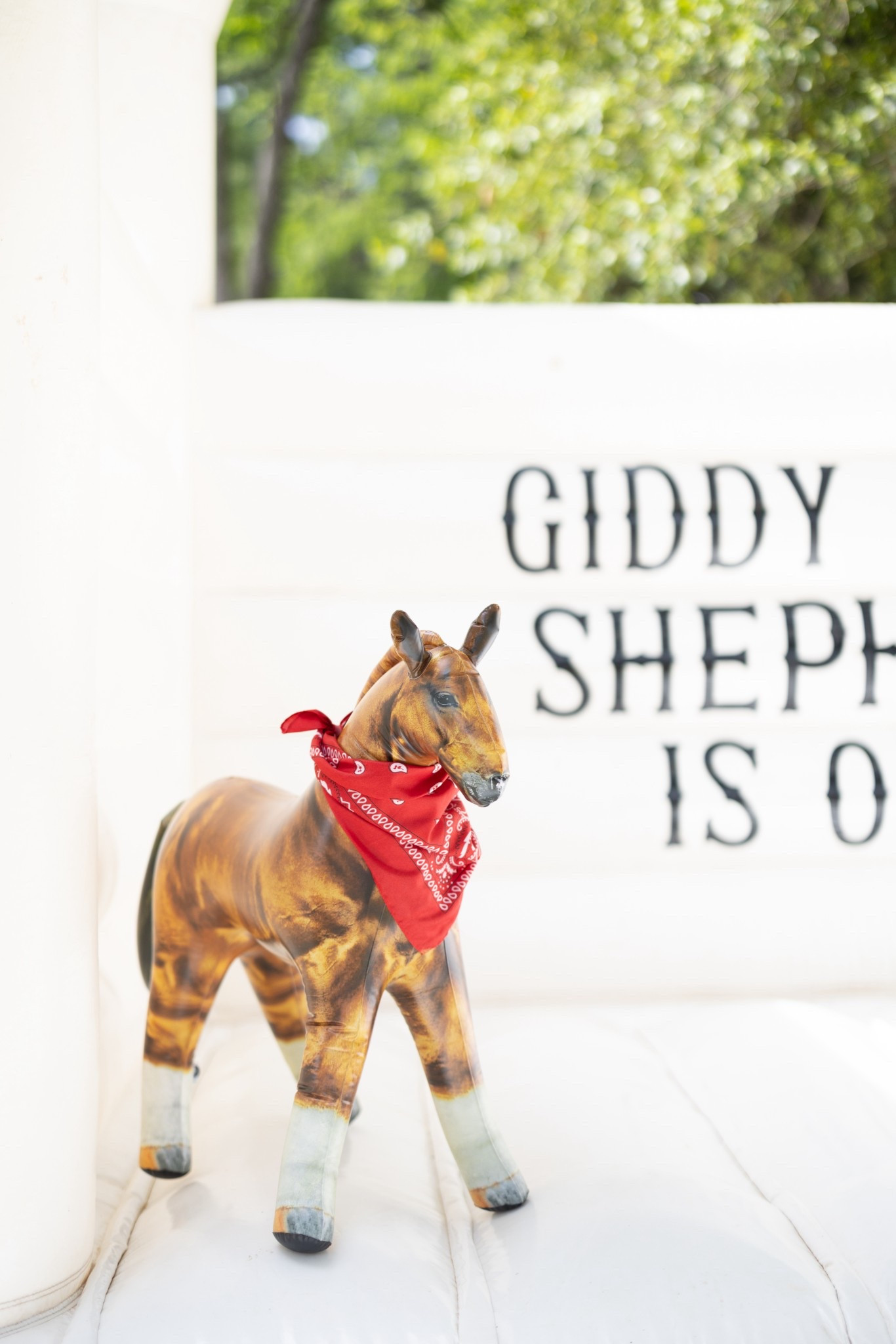 GIDDY UP / First Birthday / Boy Birthday / Horse Birthday / First Rodeo 

#LTKParties #LTKKids #LTKBaby