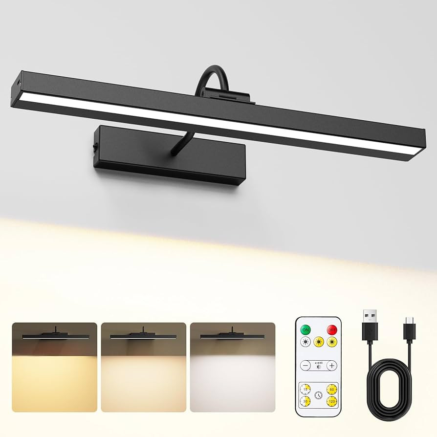 Bridika Picture Light, Rechargeable 15.7in Battery Operated Wall Lights with Timer, Remote Contro... | Amazon (US)