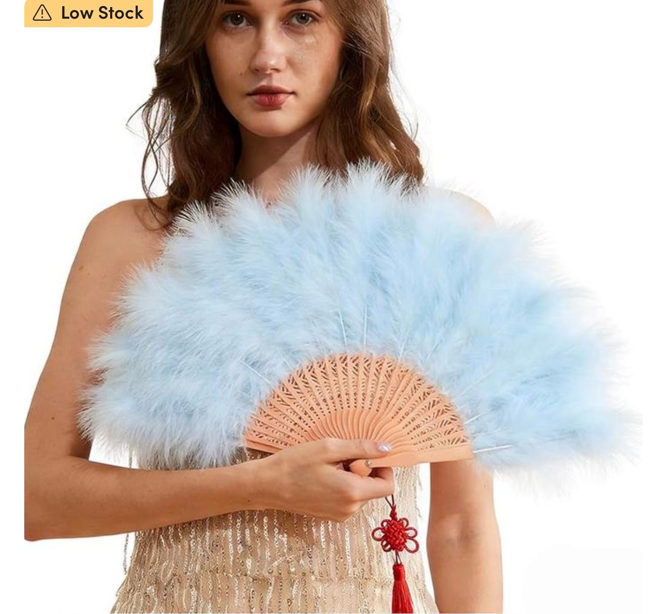 Feather Fan

#LTKU #LTKvlog #LTKgrwm