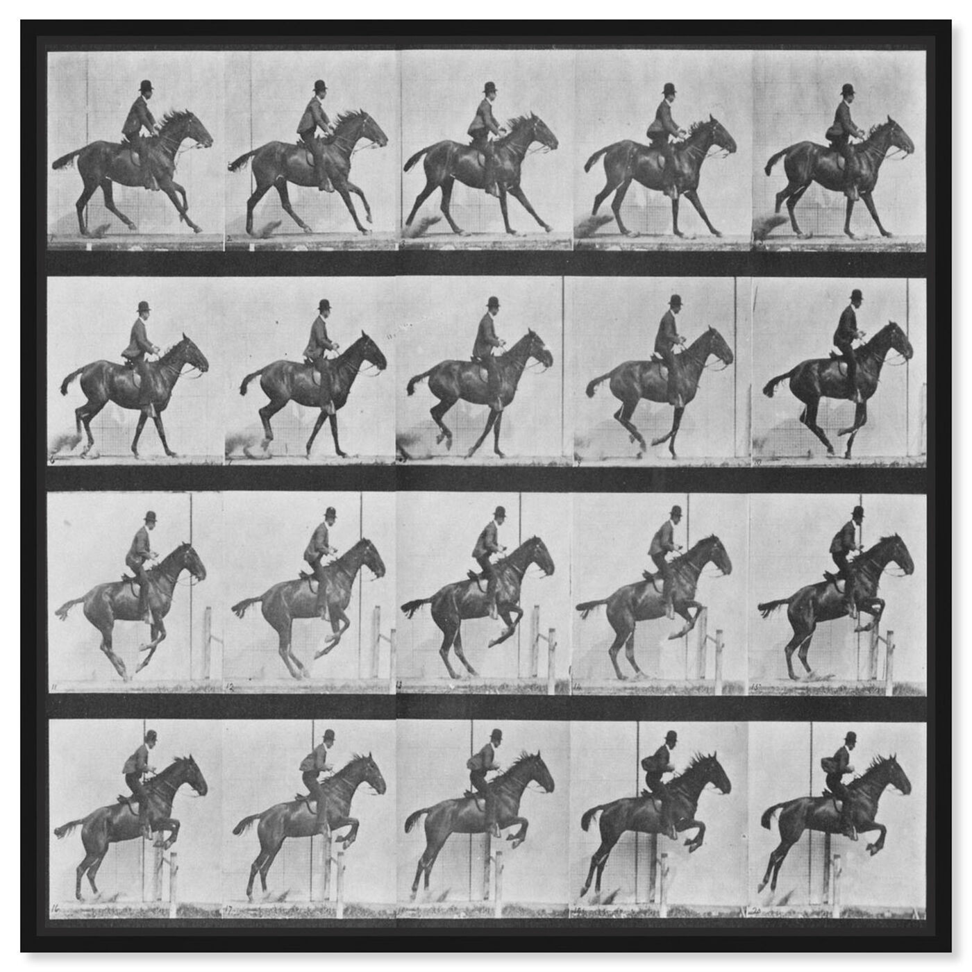 Stages of a Jumping Horse | Wall Art by Oliver Gal | Oliver Gal