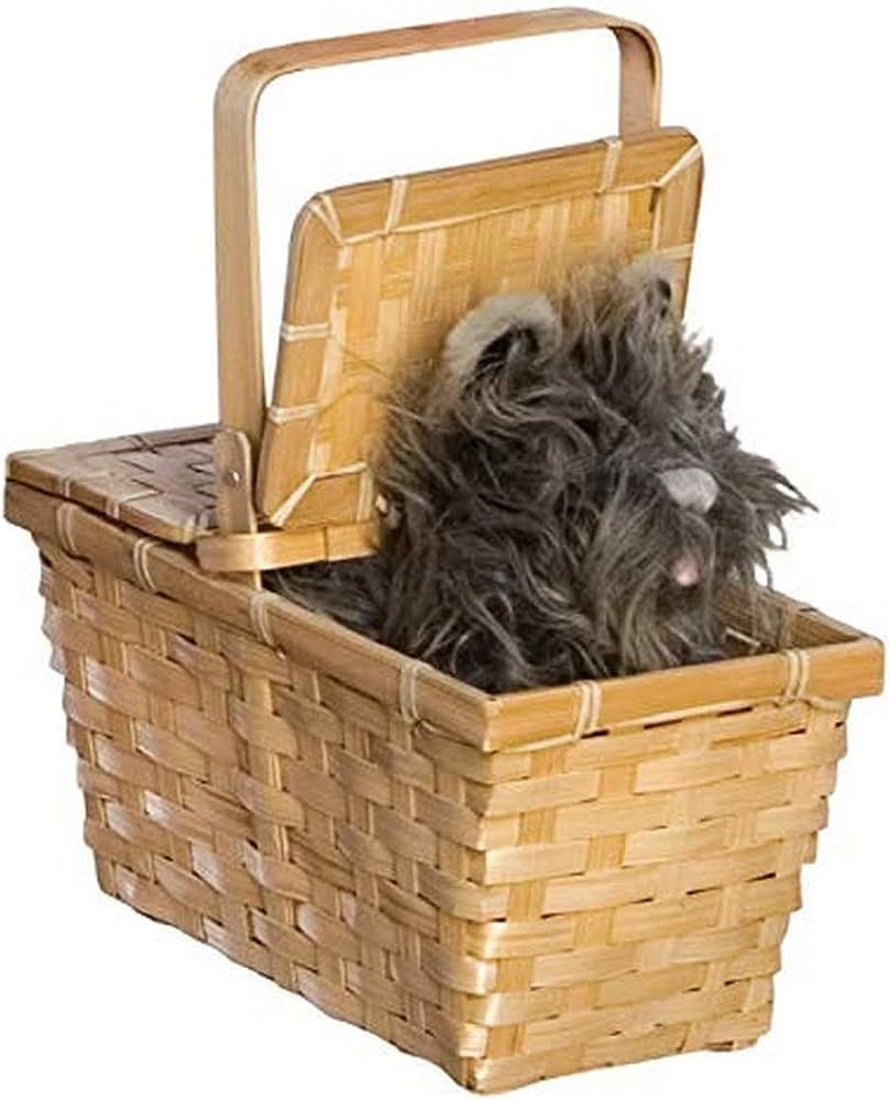 Rubie's Wizard of Oz Dorothy's Toto In A Basket Costume Accessory, 10 x 7 x 5 inches | Amazon (US)