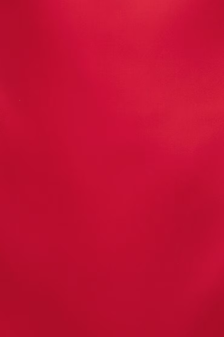 Selina Satin Mini Dress | Dynamite Clothing