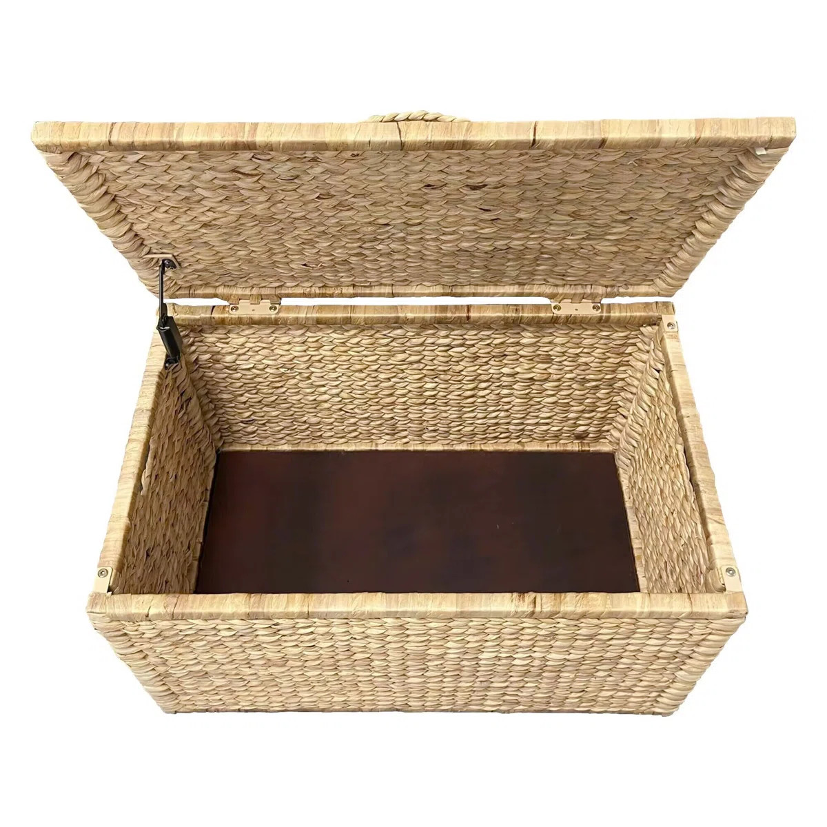 Ved Heavy-duty Water Hyacinth Wicker Storage Trunk with Metal Frame | Wayfair North America