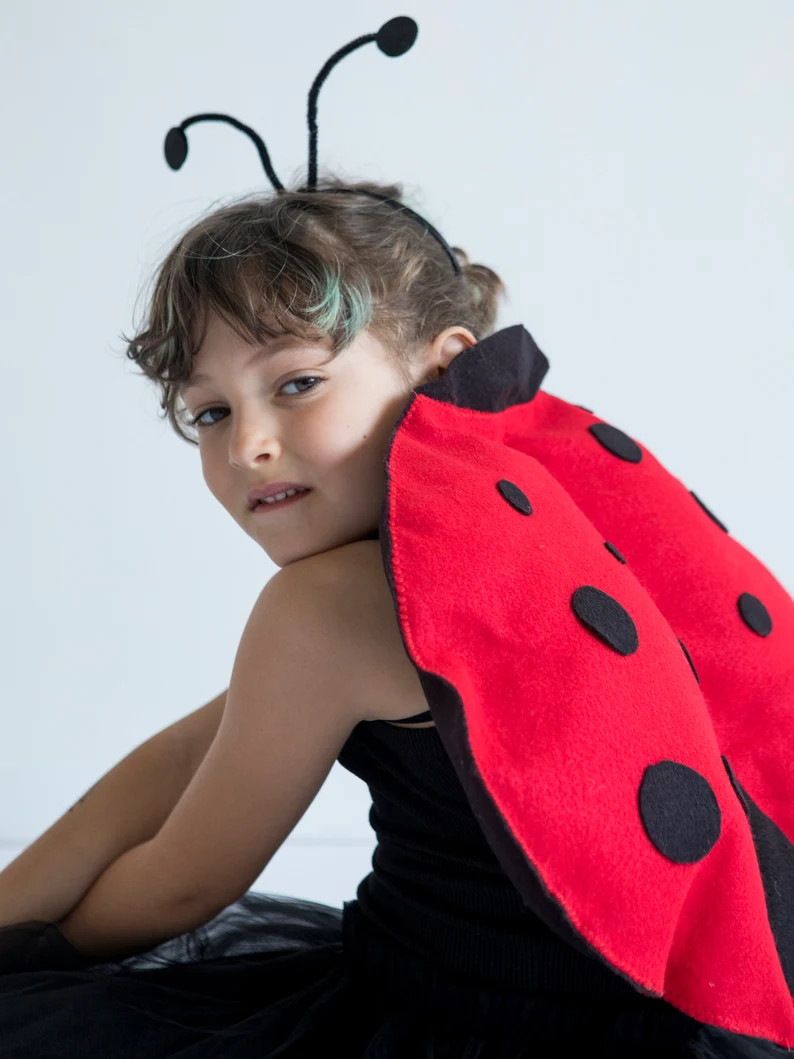 Cute Childrens Ladybug Costume - Etsy | Etsy (US)