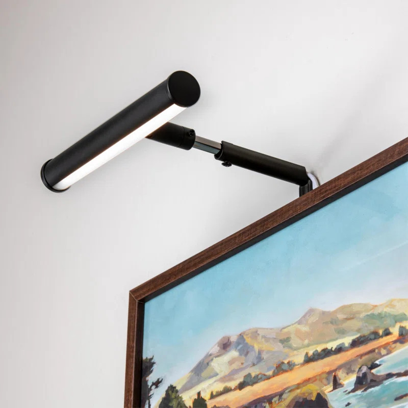 1 - Light Plug-In LED Wall Mounted Picture Light | Wayfair North America