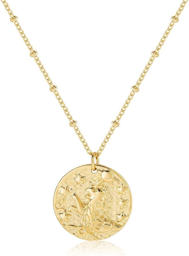 Zodiac Coin Embossed Choker Necklace Disc 12 Constellation Astrology Horoscope 14K Gold Plated Ro... | Amazon (US)