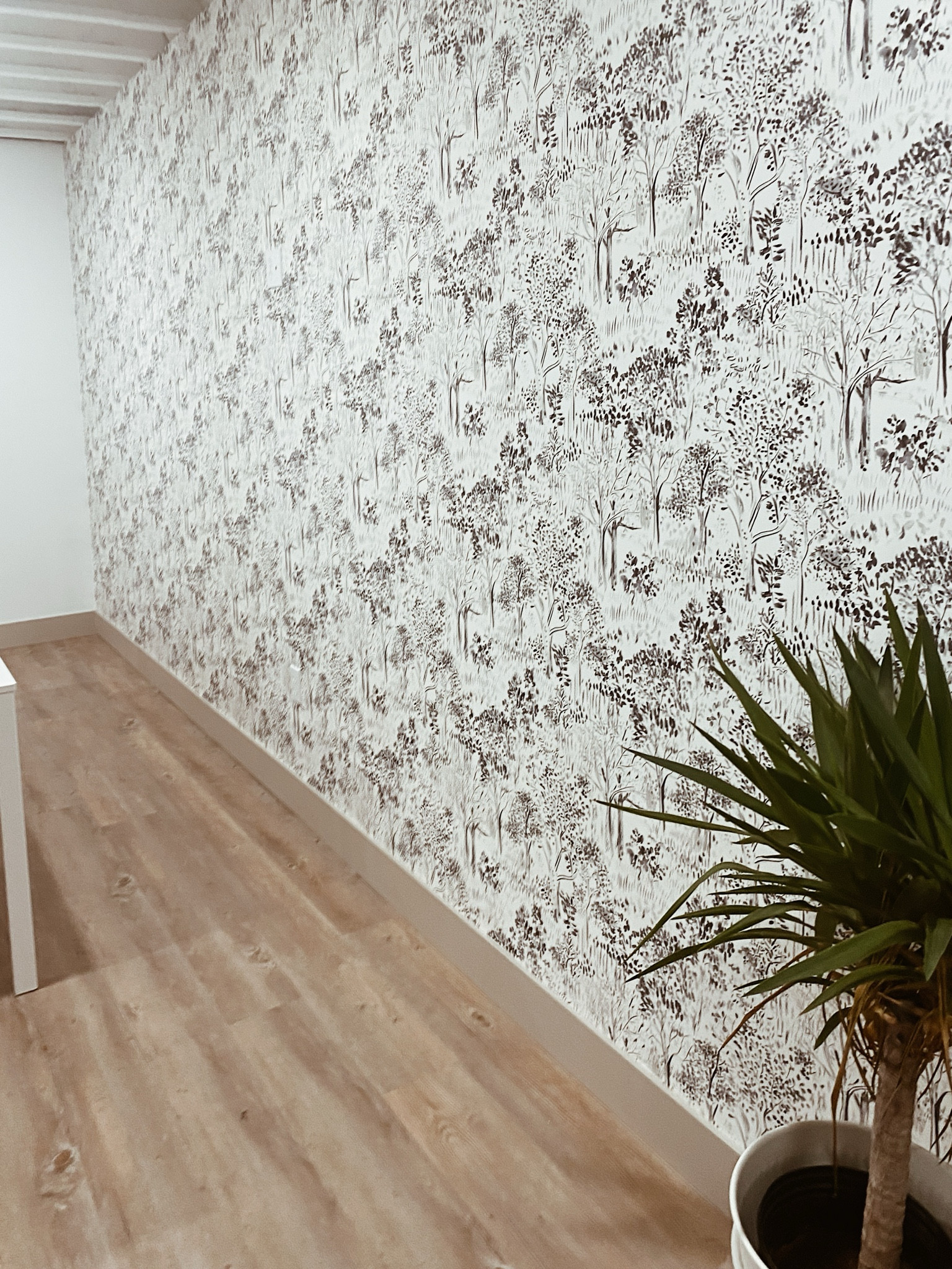 Our basement wallpaper!