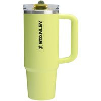 Stanley 30 oz The Quencher ProTour Flip Straw Tumbler in Prickly Pear | Glik's