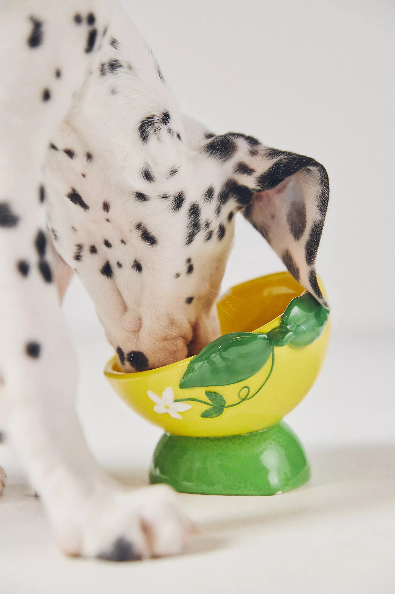 Anthropologie 3D Ceramic Fruit Dog & Cat Bowl | Anthropologie (US)
