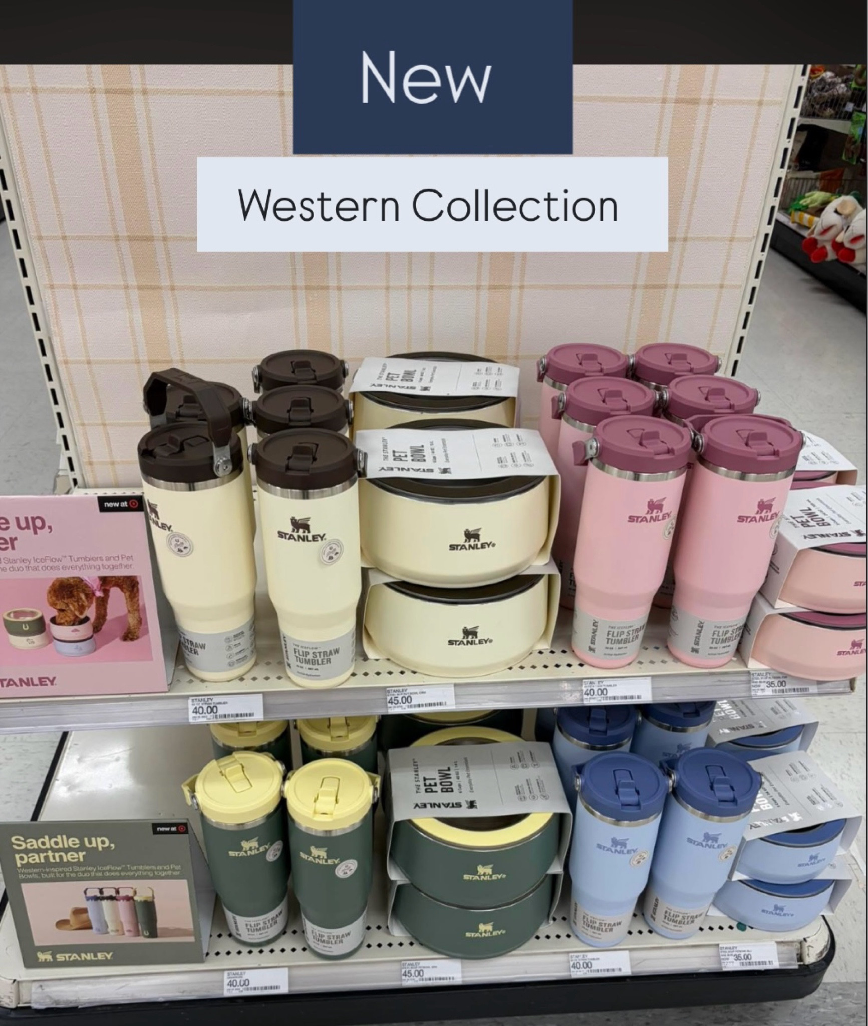 Stanley Summer, Stanley new collection, Stanley Western collection, Stanley new drop, Stanley pet bowl, Target home, Target finds

#LTKMothersDay #LTKHome #LTKSeasonal