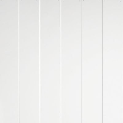 Armstrong Ceilings WoodHaven Painted White Mdf Surface-mount Ceiling Plank Sample Lowes.com | Lowe's