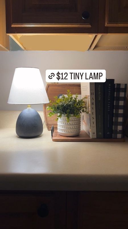Faux Wood Mini Table Lamp

#LTKhome #LTKVideo