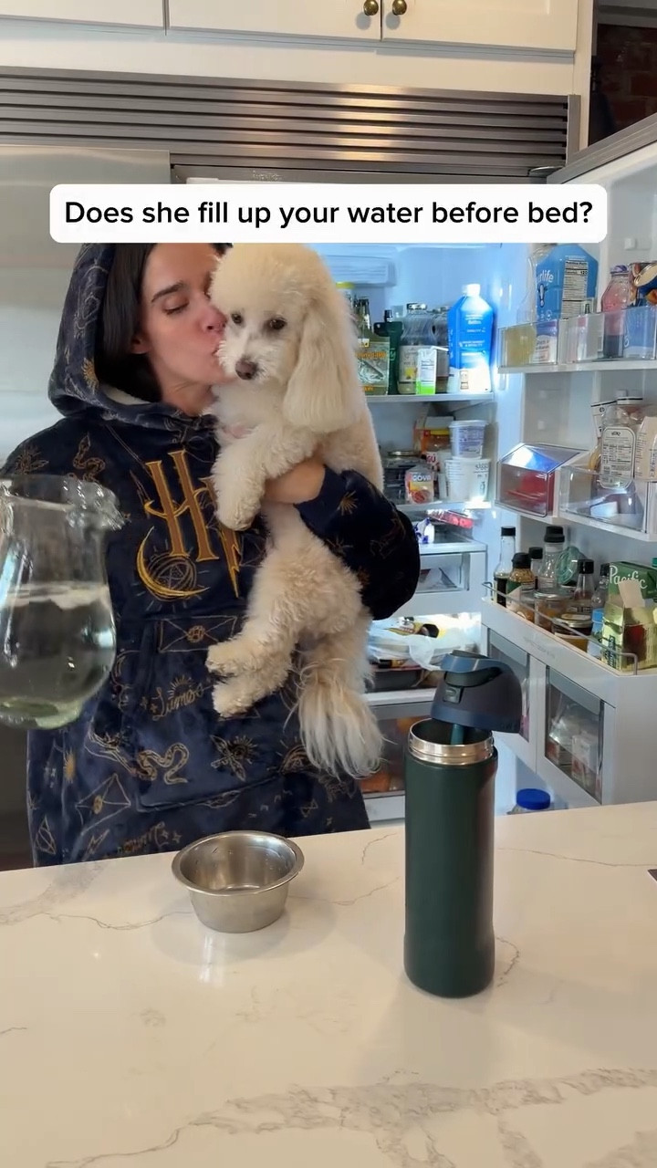 I’ve had this hoodie for a few years now. Great quality. So comfy and wash's well! 

I’m 5’8” size small and wearing the kid size here- it’s very oversized still!  For truly blanket hoodie oversized go with adult. 

Who’s your daddy?
Teddy is 
.
Pretty sure Justin was shocked I know how to fill up water 😅
.

#dogsofinstagram  #marriagehumor #marriedlife #husbandandwife #marriedlife puppy f1b golden doodle poodle