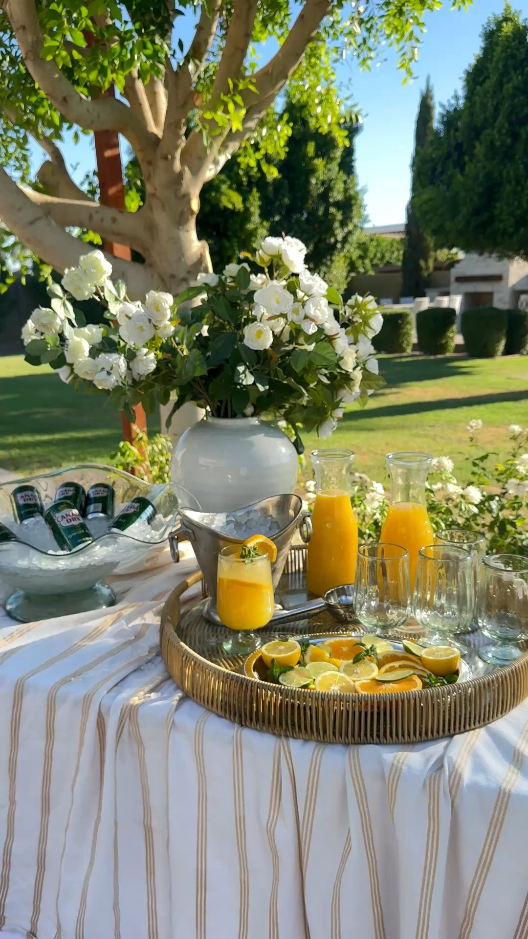 Mocktail bar at its best. Loved setting this up for the girls 🤍 

Arizona Creator | Summer Hosting | Poolside Hosting | Home and Hosting creator | Mocktails | Outdoor Entertaining
