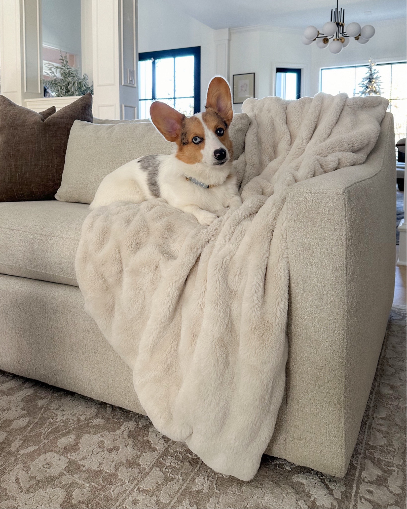 The BEST faux fur throw ever from Amazon! Fully in stock and prime shipping! Pottery Barn look for less… and I might like it better  😉 

#LTKHome #LTKFindsUnder100 #LTKStyleTip