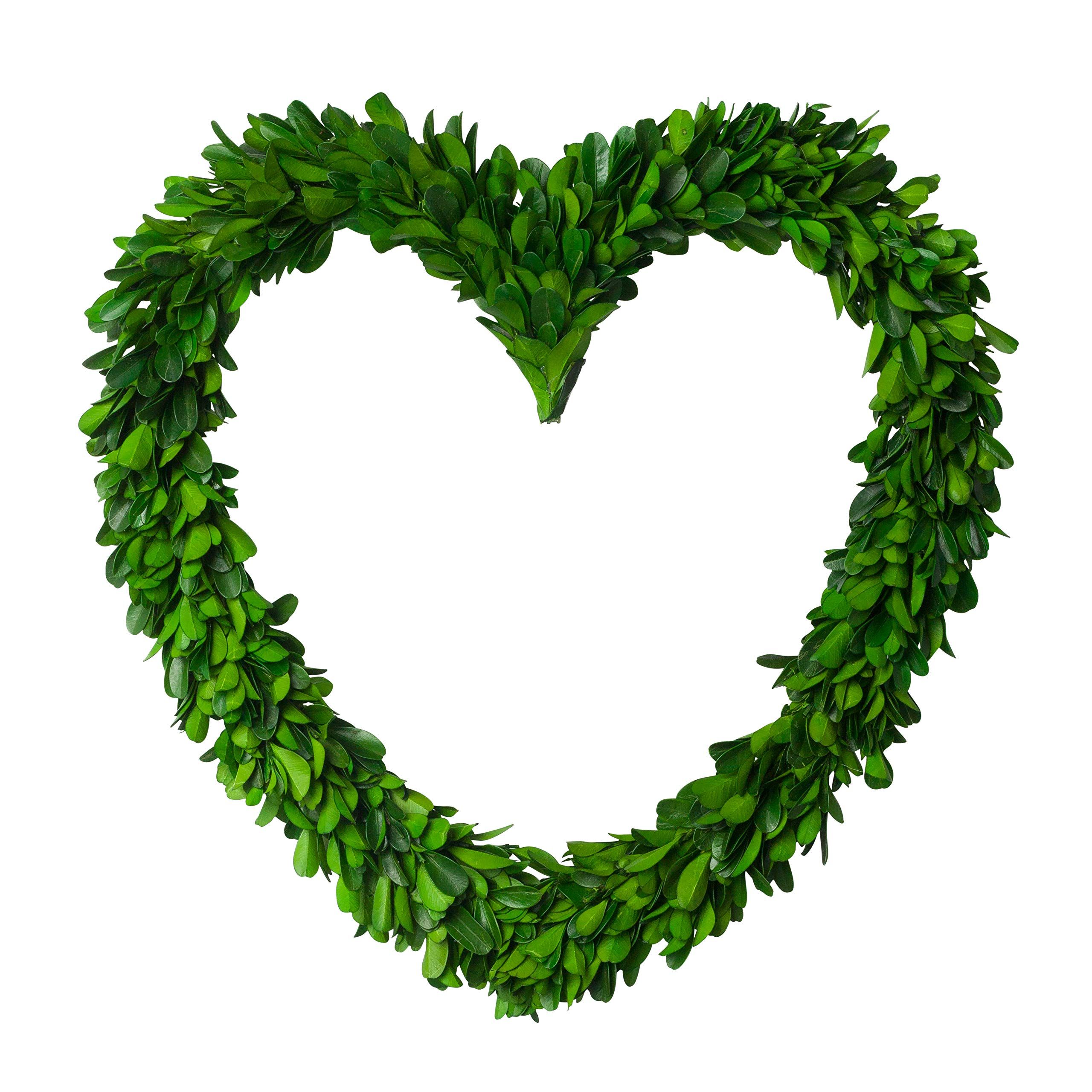 PINE AND PAINT LLC Preserved Boxwood Wreath Heart Shape 12 Inches High | Amazon (US)