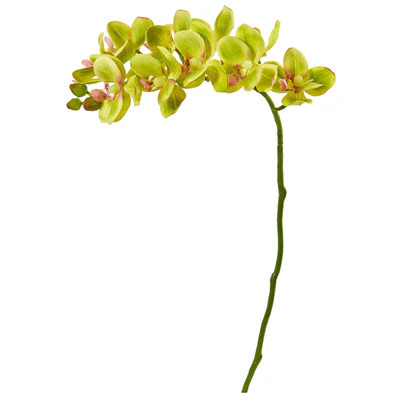 21” Artificial Phalaenopsis Orchid Flower (Set of 6) | Nearly Natural