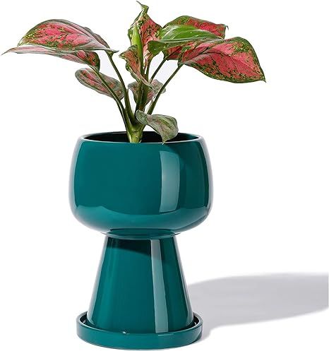 POTEY 054603 Flower Pot Indoor with Drainage Holes & Saucer - 4.9 Inch Glazed Ceramic Modern Uniq... | Amazon (US)