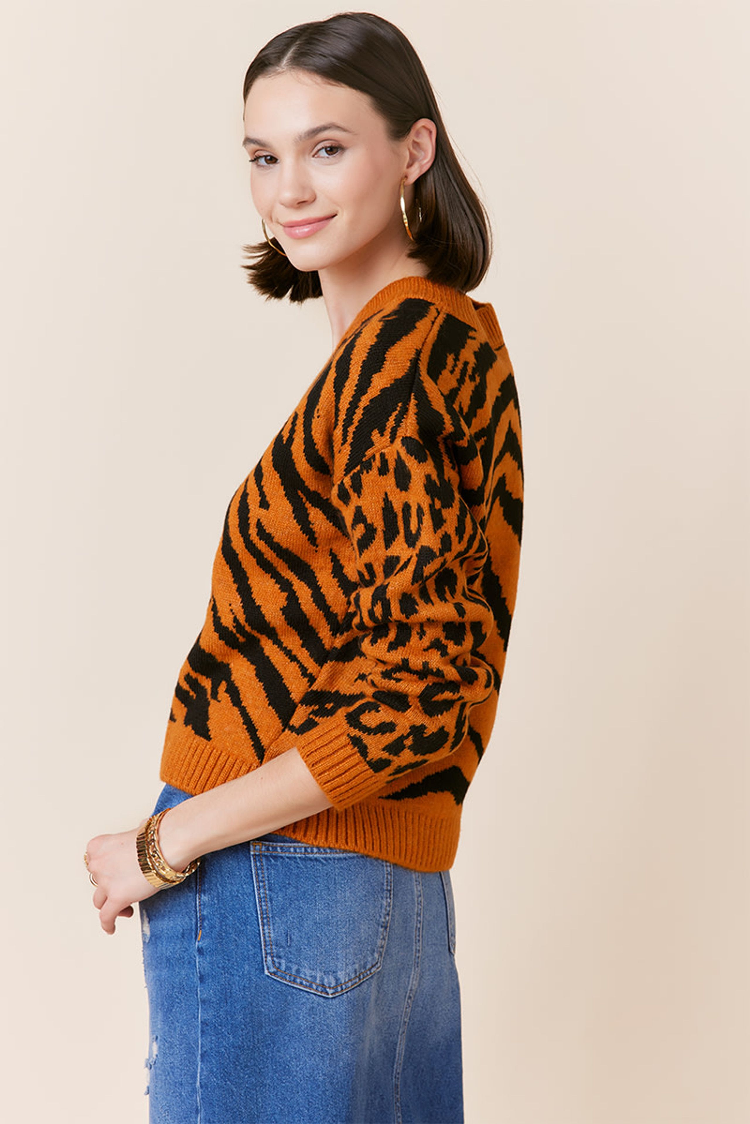 Dianne Animal Print V Neck Pullover | Francesca's