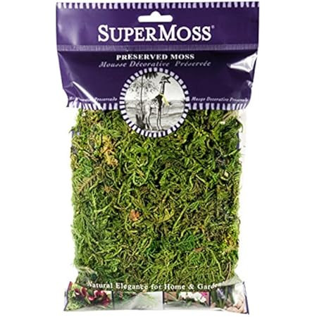 SuperMoss (25322) Forest Moss Preserved, Fresh Green, 8oz | Amazon (US)