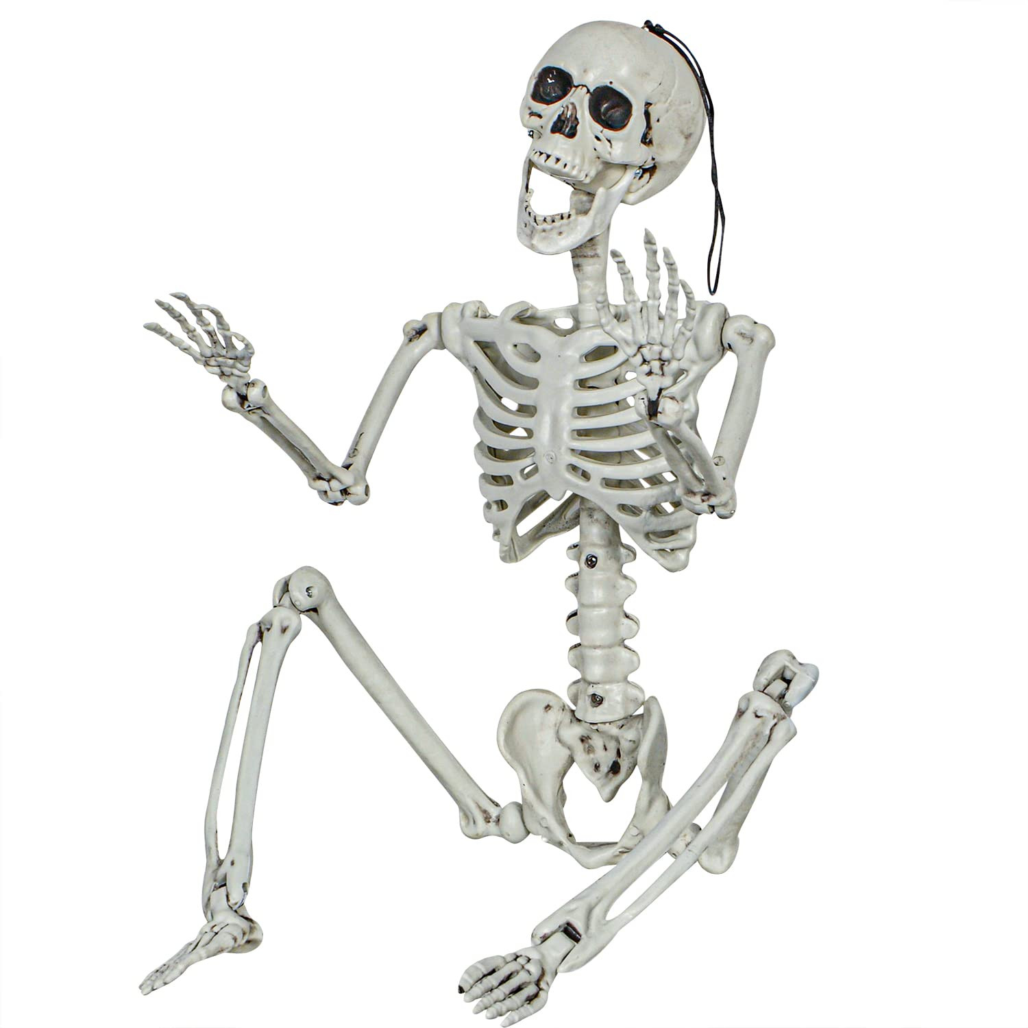 XONOR 3ft Halloween Skeleton Realistic Human Plastic Full Body Skeleton with Movable Joints for H... | Amazon (CA)