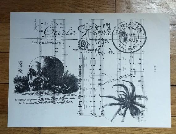 NEW Creepy Halloween Carte Postale Skull Spider on Vintage - Etsy | Etsy (US)