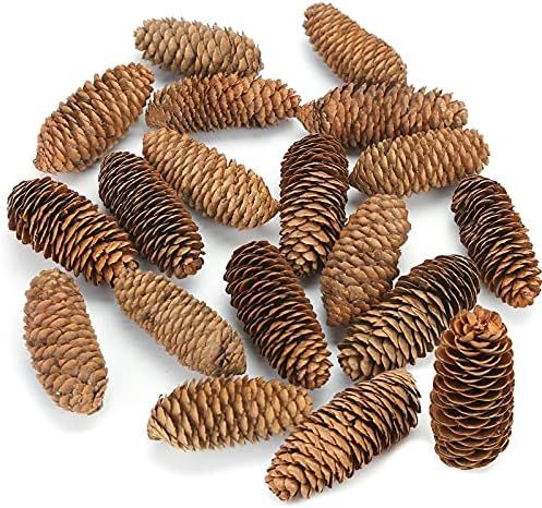 JOHOUSE 3.5-5Inch Natural Pine Cones, Big Pinecones, Christmas Natural Pinecone Ornaments Big Spr... | Amazon (US)